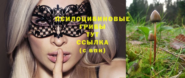 эйфоретик Кинешма