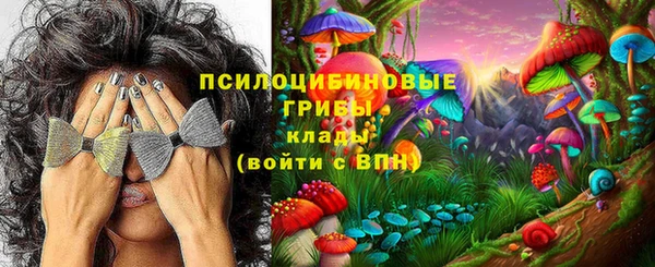 твердый Алексин
